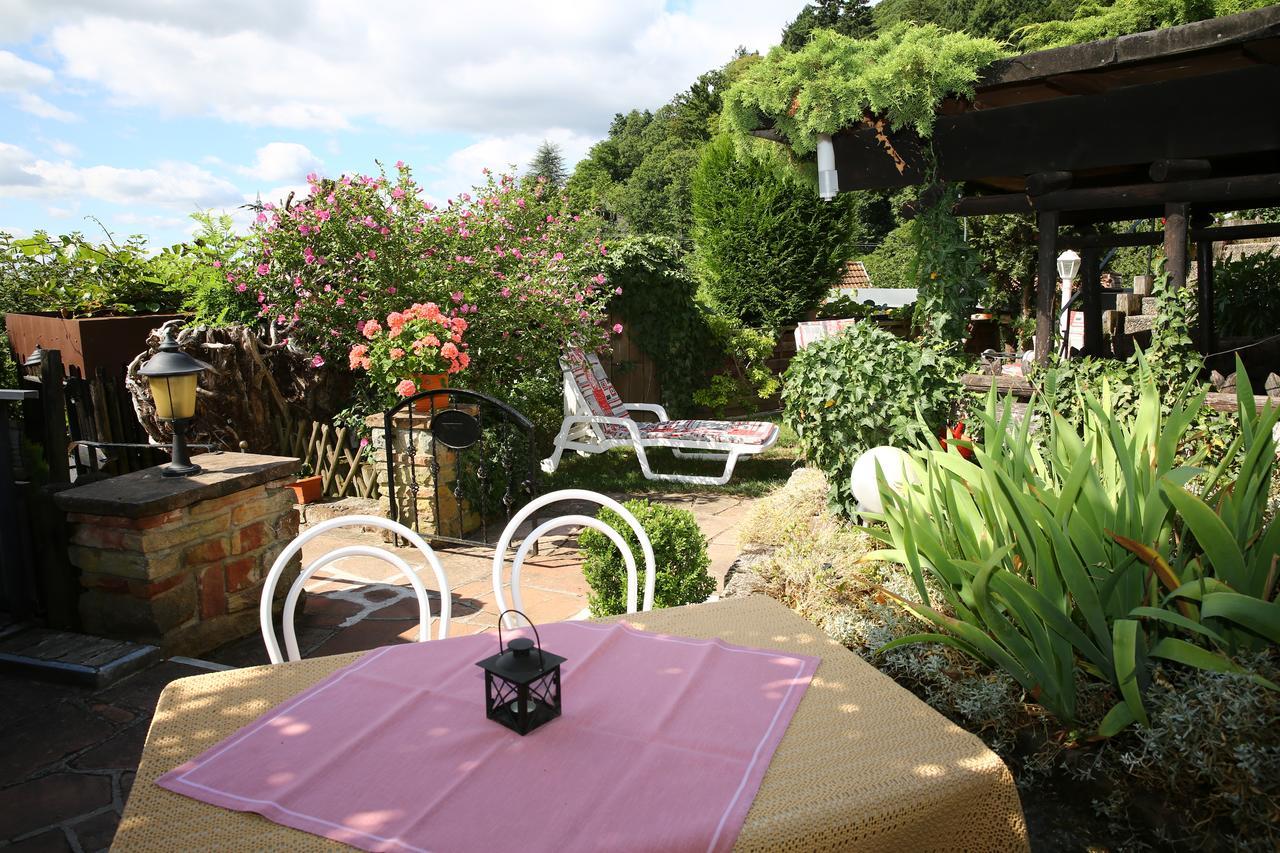 Pension Weinberg Mit Landhaus Nizza Gleisweiler Buitenkant foto