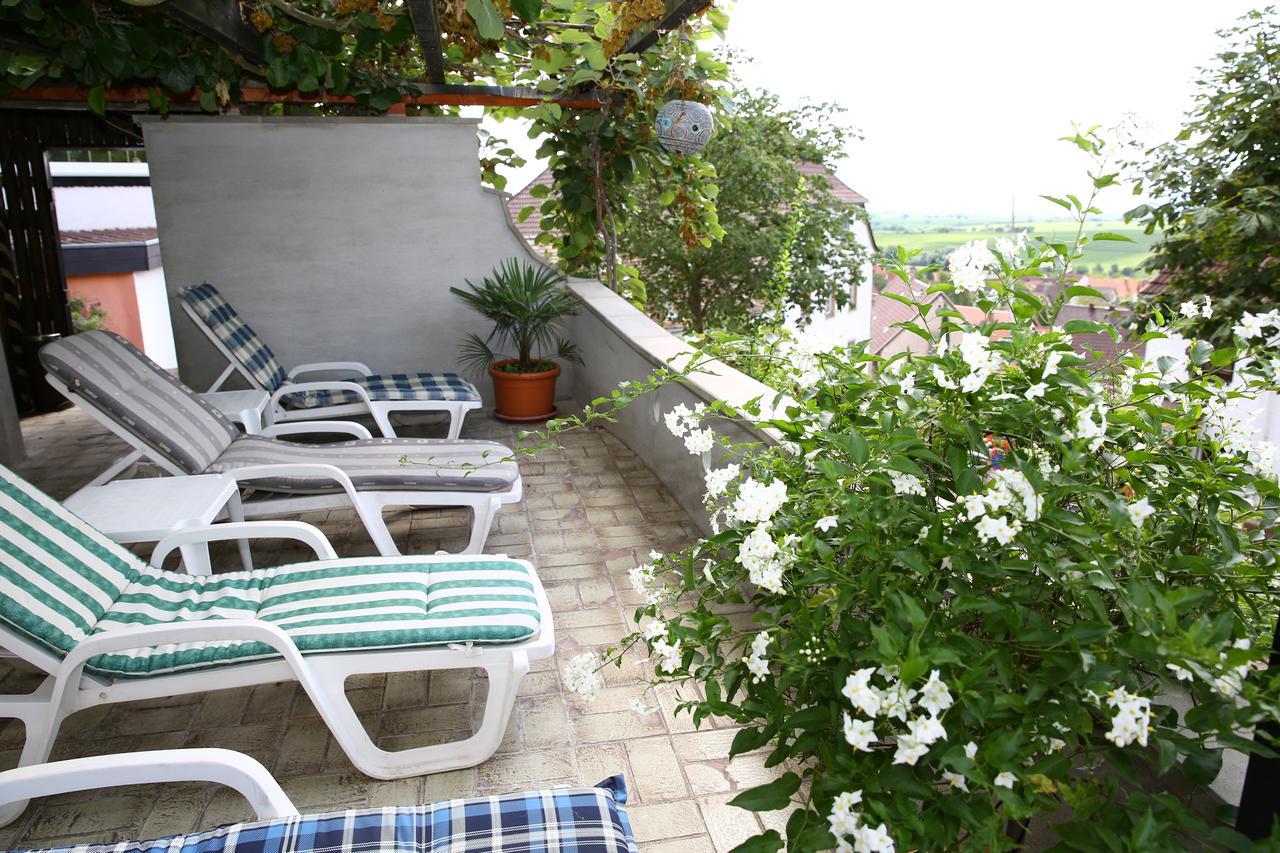 Pension Weinberg Mit Landhaus Nizza Gleisweiler Buitenkant foto