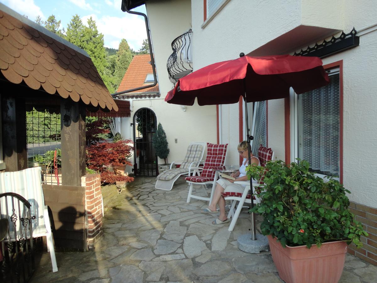 Pension Weinberg Mit Landhaus Nizza Gleisweiler Buitenkant foto